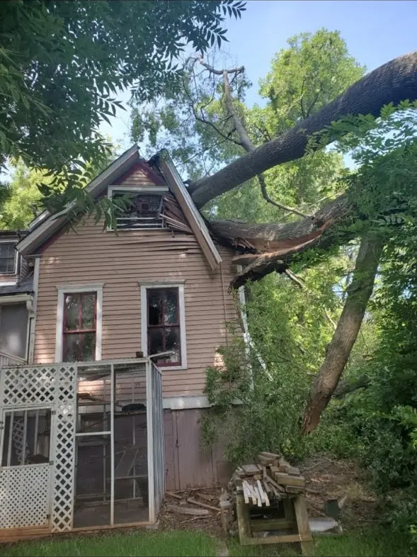 A large tree fallen across the roof and dormer of an older Milledgeville home